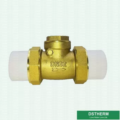 32mm DIN Drinkable Water Ppr Brass Body Check Valve