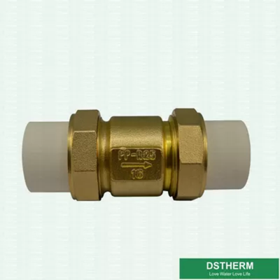 Corrosion Resistant Recyclable Ppr Brass Check Valve