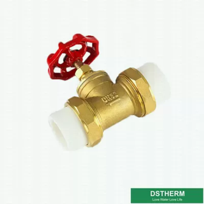 20mm Heat Insulation Iron Handle Ppr Brass Gate Valve