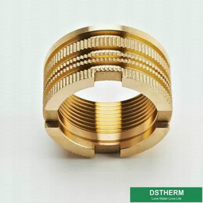 Italy Designs Customized Designs Precise Designs Female Brass Inserts For Ppr Fittings