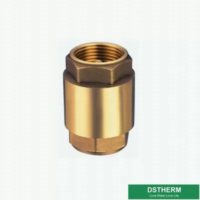 Customized Heavier Type Non Return One Way In-Line Brass Spring Check Valve With Plastic Pin