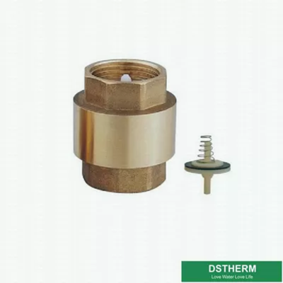 Customized Heavier Type Non Return One Way In-Line Brass Spring Check Valve With Plastic Pin