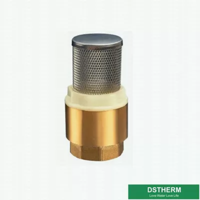 Customized Heavier Type Brass Check Valve Vertical Stainless Steel Filter For Water Pump