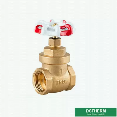 Customized 200 WOG BSPT NPT Big Style Brass Gate Valve With Red White Iron Handle