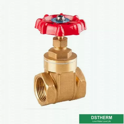 Customized Brand BSPT Heavier Style Brass Gate Valve Double Female Heavier type Gate Valve