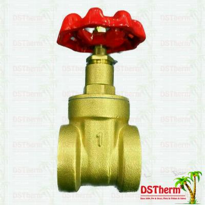 Flexible Brass Gate Valve With Plastic Part Ppr Coated Check Valve