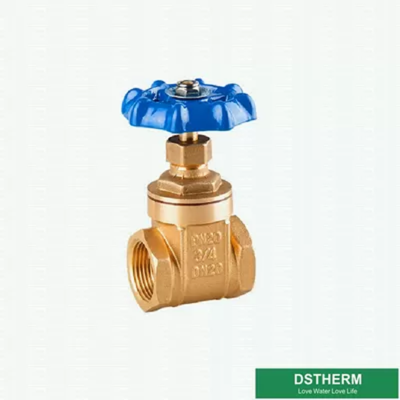 Customized 200 WOG BSPT NPT Big Style Brass Gate Valve With Blue Iron Handle